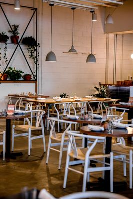 Milo All Day by null