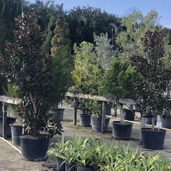 The Bushel Stop - Nurseries & Gardening Near Me - Delray Beach, Florida