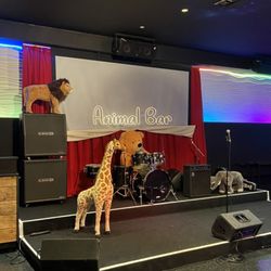 Animal Bar - Loved this!