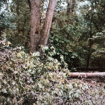 Cottonwood Trail - Hiking Near Me - Richardson, Texas