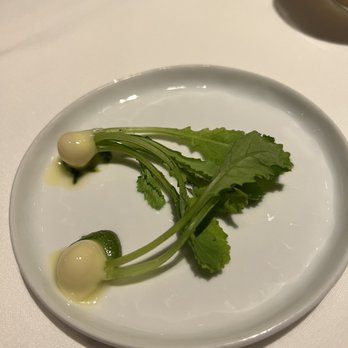 Spruce - Japanese turnip - American Near Me - San Francisco, California Spruce - Japanese turnip - American Near Me - San Francisco, California