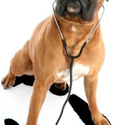 Acres North Animal Clinic photo