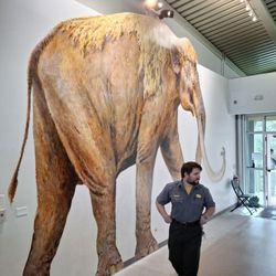 Waco Mammoth National Monument - Comical Ranger Bryce