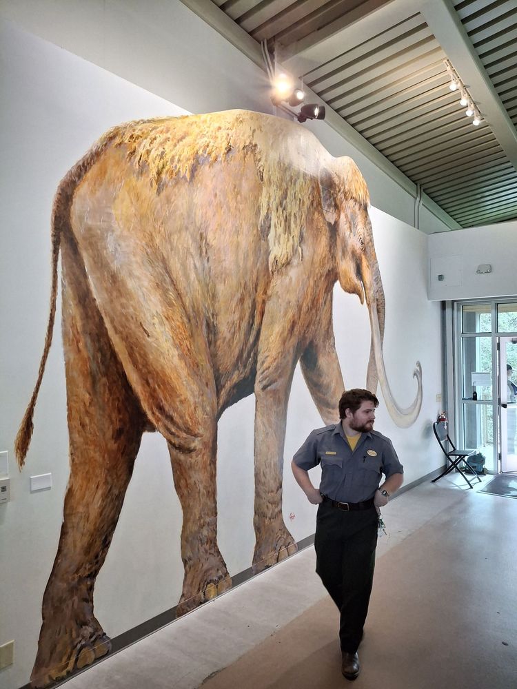 Waco Mammoth National Monument