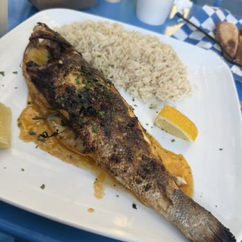 Bay Ridge Fish Bar - Branzino was amazing- I believe that was a coconut rice and it was my first time having it- so good! - Fish & Chips Near Me - Brooklyn, New York Bay Ridge Fish Bar - Branzino was amazing- I believe that was a coconut rice and it was my first time having it- so good! - Fish & Chips Near Me - Brooklyn, New York