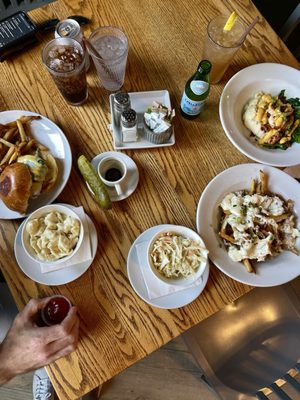 The Backyard by null