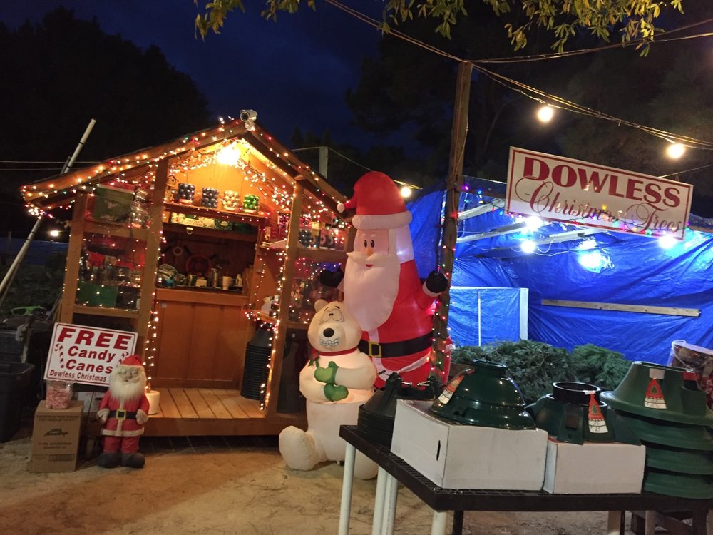 DOWLESS CHRISTMAS TREE FARM Updated April 2024 449 Westwood