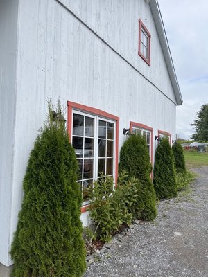 Le Vignoble du Mitan by null