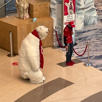 Coca Cola Company - The Coca Cola Polar bear - Art Galleries Near Me - Atlanta, Georgia Coca Cola Company - The Coca Cola Polar bear - Art Galleries Near Me - Atlanta, Georgia