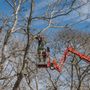 Photo of Bilzerian Tree & Land Services