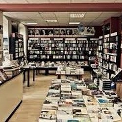 Buchhandlung Lessing und Kompanie Literatur e. V. - Die Buchhandlung Lessing und Kompanie | Innenaufnahme