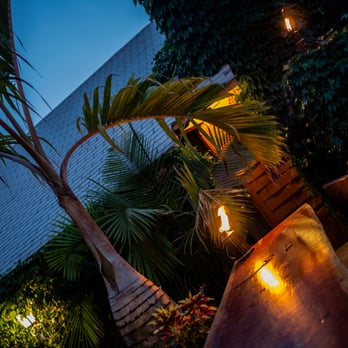 Ripe Kitchen & Bar - Ripe's Outdoor Patio area - Caribbean Near Me - Mount Vernon, New York