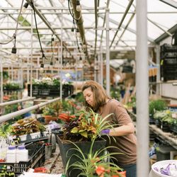 Perfect Pots - Designer working on a custom design container garden