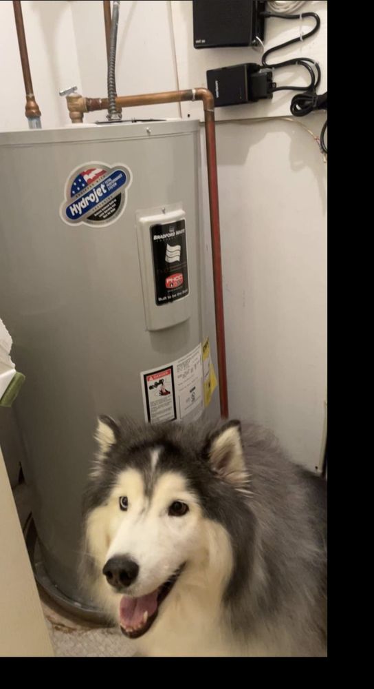 Slide of Wildcat Plumbing Services