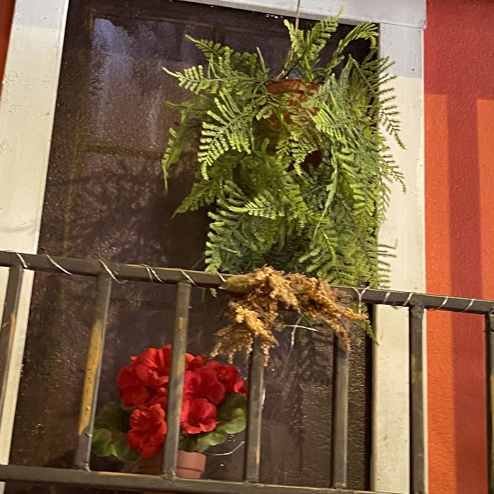La Marginal - Decor - Puerto Rican Near Me - San Antonio, Texas La Marginal - Decor - Puerto Rican Near Me - San Antonio, Texas