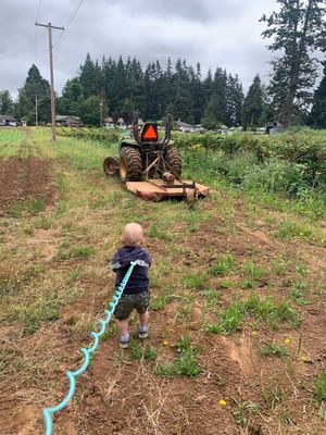 Albeke Farms by null