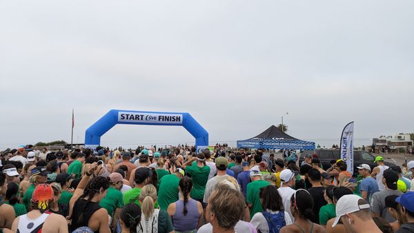 Moonlight State Beach by null