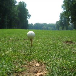 Meadows Golf Club - July 2008