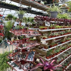 SPOOKY NOOK GREENHOUSE & PRODUCE