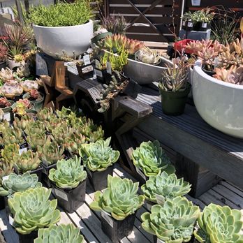 Ground - Nurseries & Gardening Near Me - Belvedere, California