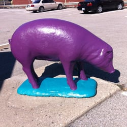 Clarksville Dental Care - The famous PIG changes color.