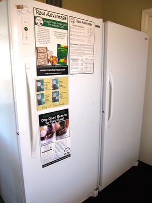 Canine To Five by null