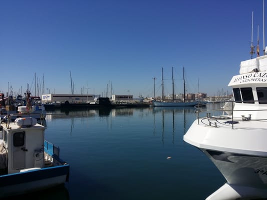 Museo del Mar y de la Sal by null