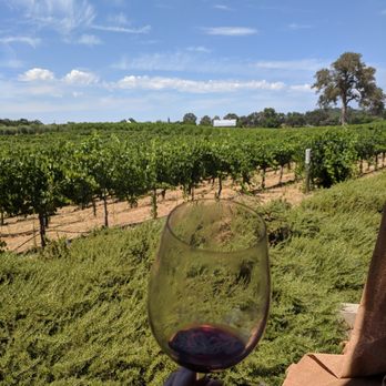 Vino Noceto - Wineries Near Me - Plymouth, California Vino Noceto - Wineries Near Me - Plymouth, California