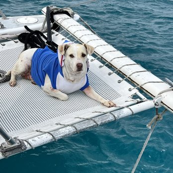Oahu Catamarans - Sushi - Boat Charters Near Me - Honolulu, Hawaii