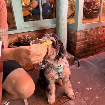 The Shed - New Mexican Cuisine Near Me - Santa Fe, New Mexico The Shed - New Mexican Cuisine Near Me - Santa Fe, New Mexico