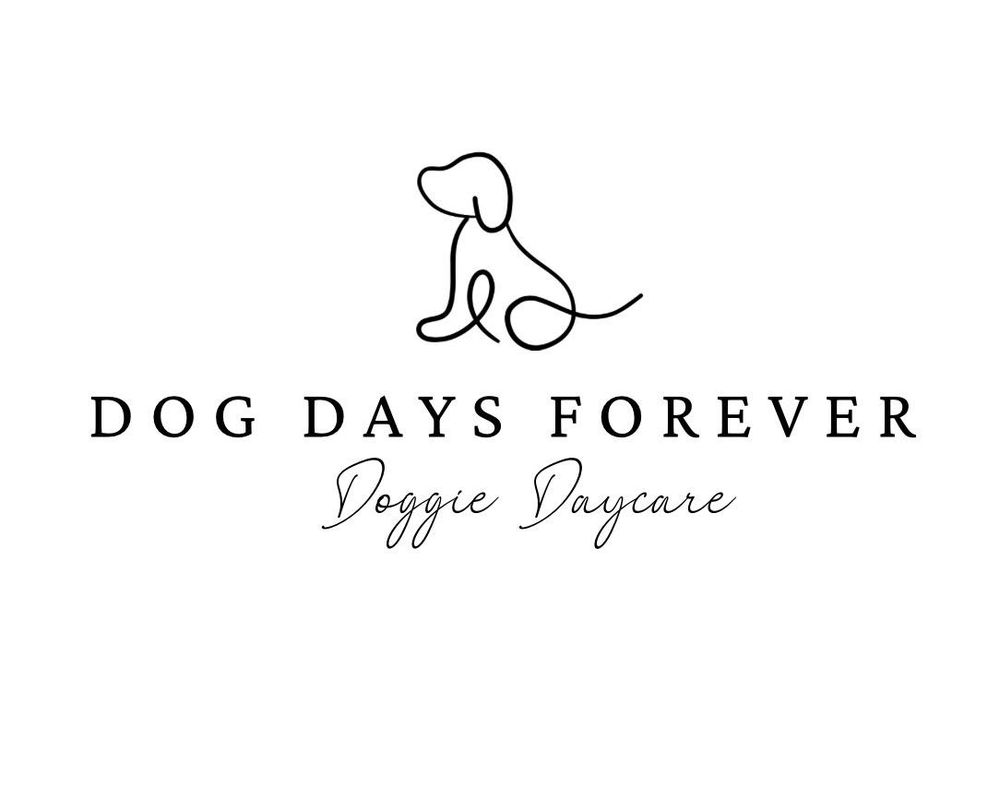 Dog Days Forever - pet boarding facility in Harvest, AL