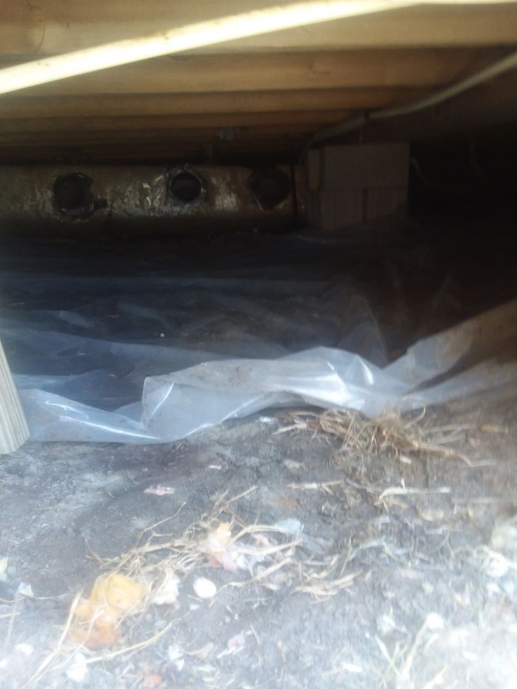 Slide of Carolina handyman and lawn care service