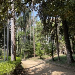 Parque da Luz
