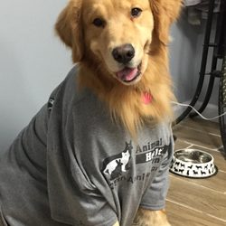 Animal Health Center - Beaumont