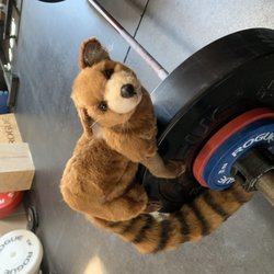 Mongoose Strength and Conditioning
