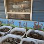 Photo of Prairie Agate Rock Shop