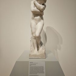 The Davis Museum - Rodin
