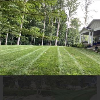 Thompson Lawn Services - Back - Lawn Services Near Me Thompson Lawn Services - Back - Lawn Services Near Me