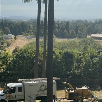 Timberview Tree Service - Tree Services Near Me