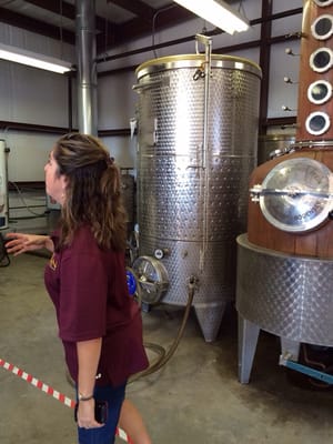 Railean Distillers by null