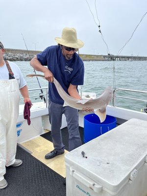 Southall Landings Marina Inc