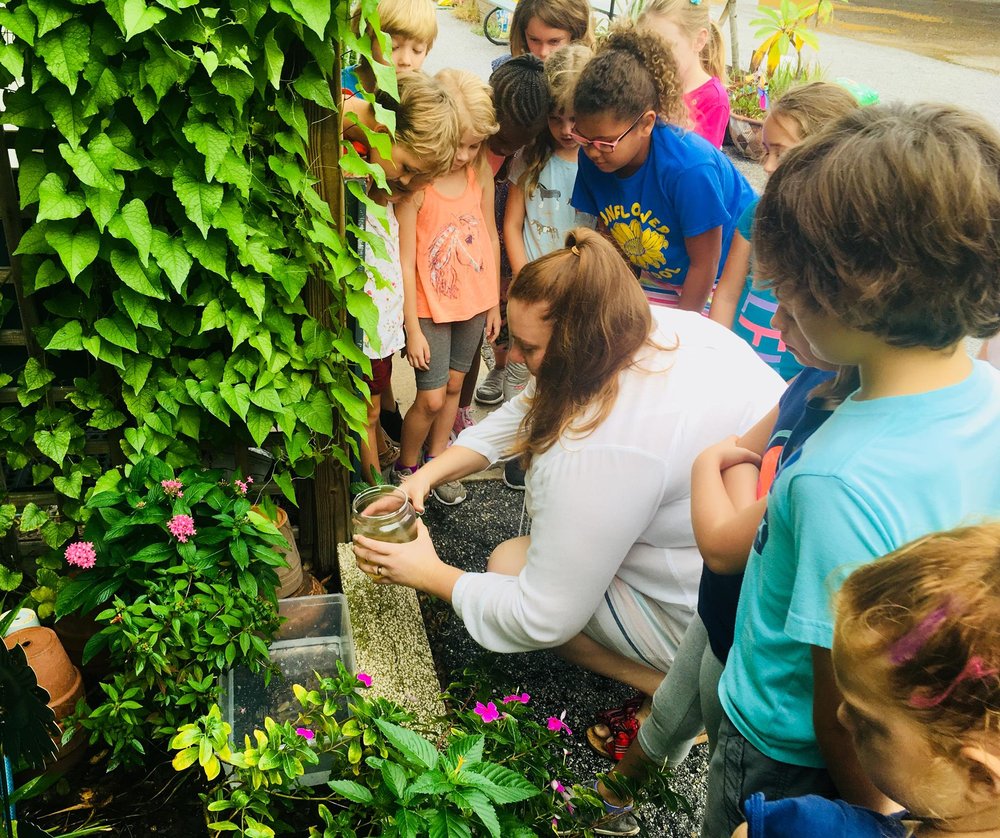 SUNFLOWER PRIVATE SCHOOL 21 Photos 5313 27th Ave S, Gulfport, FL Yelp