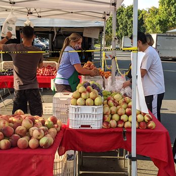 IRVINGTON FARMERS’ MARKET - Updated February 2026 - 598 Photos & 136