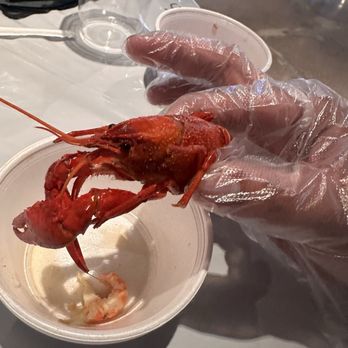 HOT N JUICY CRAWFISH - Updated February 2026 - 164 Photos & 154 Reviews