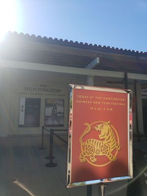 Dina’s Dumpling - Shrimp Dumplings | Pork Dumplings | Beef Dumplings | Chicken Dumplings by null