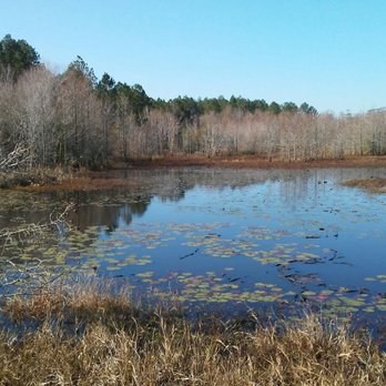 PARADISE PUBLIC FISHING AREA - Updated January 2025 - 536 Paradise 