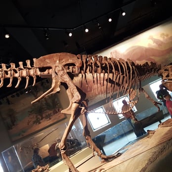 Field Museum - Museums Near Me - Chicago, Illinois Field Museum - Museums Near Me - Chicago, Illinois