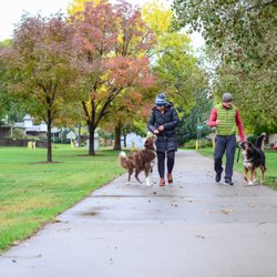 Paws & Reward - Let's walk together!