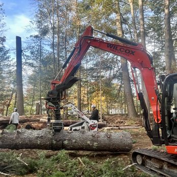 Wilcox Tree Service - Tree Services Near Me - Westmoreland, New Hampshire Wilcox Tree Service - Tree Services Near Me - Westmoreland, New Hampshire
