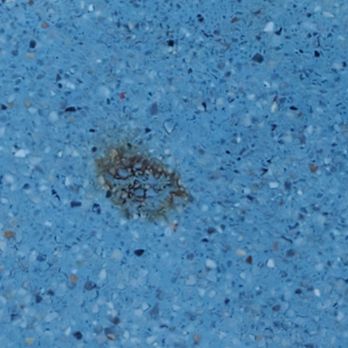 Shasta Pools - Pool Cleaners Near Me - Mesa, Arizona Shasta Pools - Pool Cleaners Near Me - Mesa, Arizona